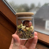 Mini Altar Jar - Triple Moon